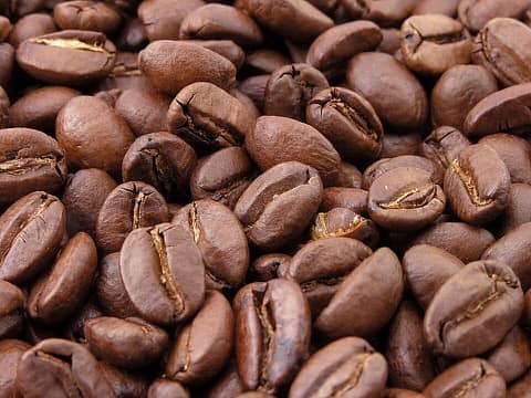Foto: A ciência do café