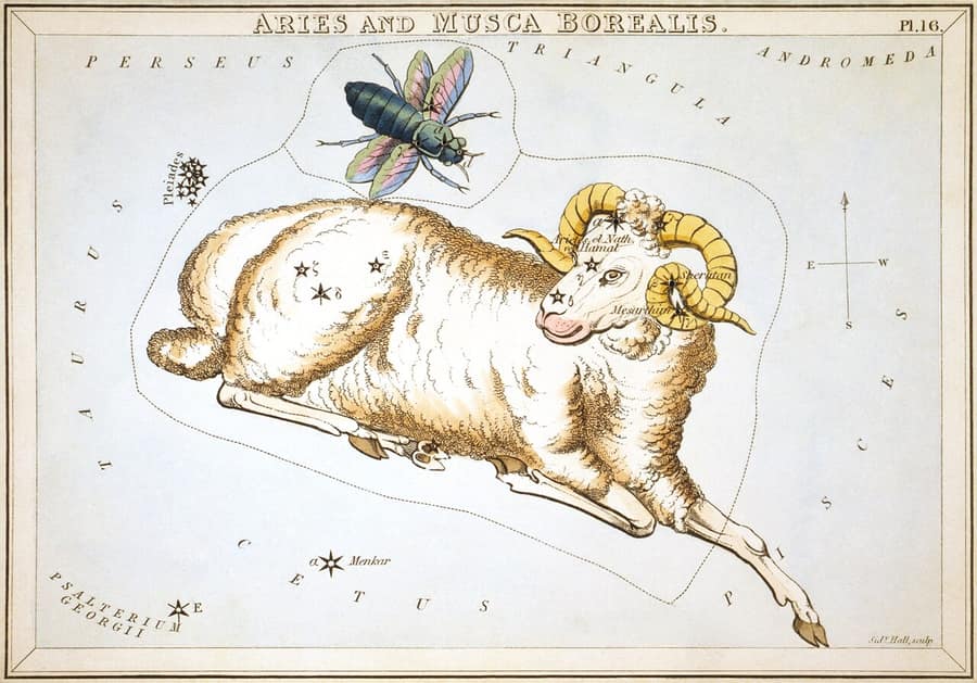 Gravura antiga da constelação de Áries