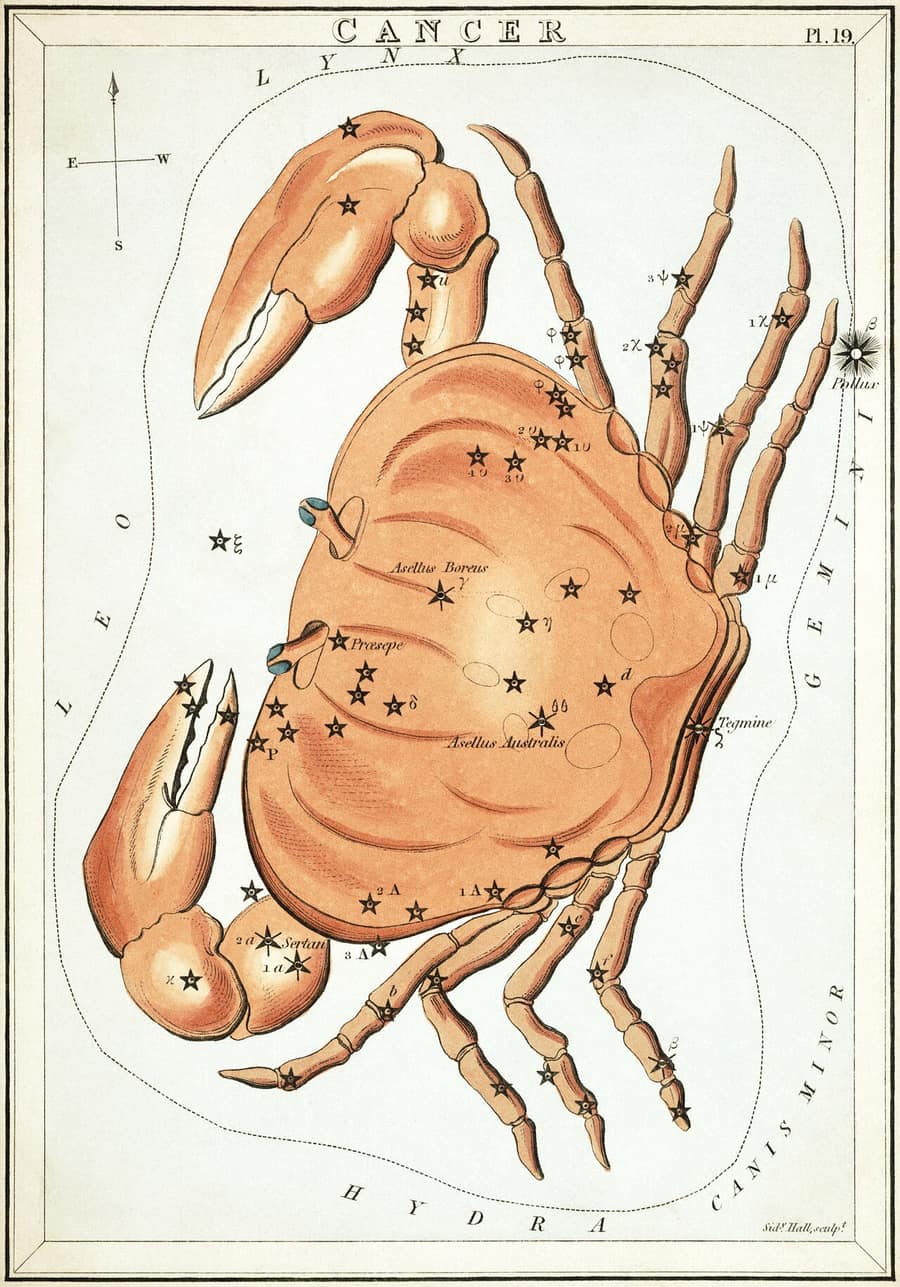 Gravura antiga da constelação de Câncer