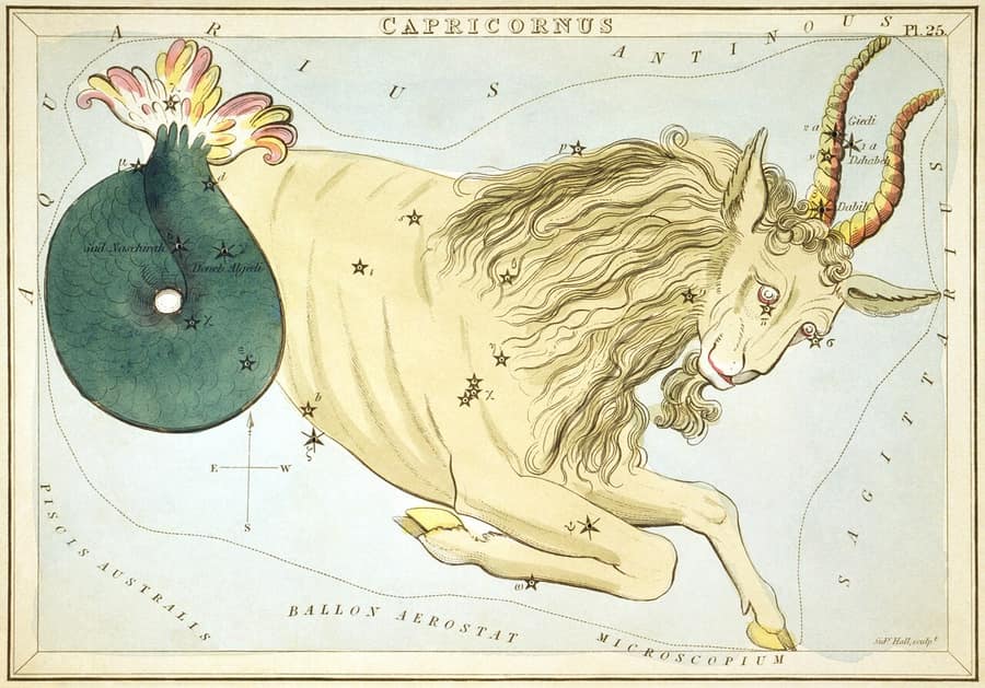 Gravura antiga da constelação de Capricórnio