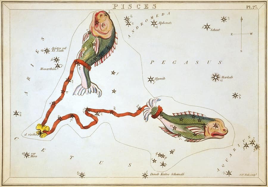Gravura antiga da constelação de Peixes