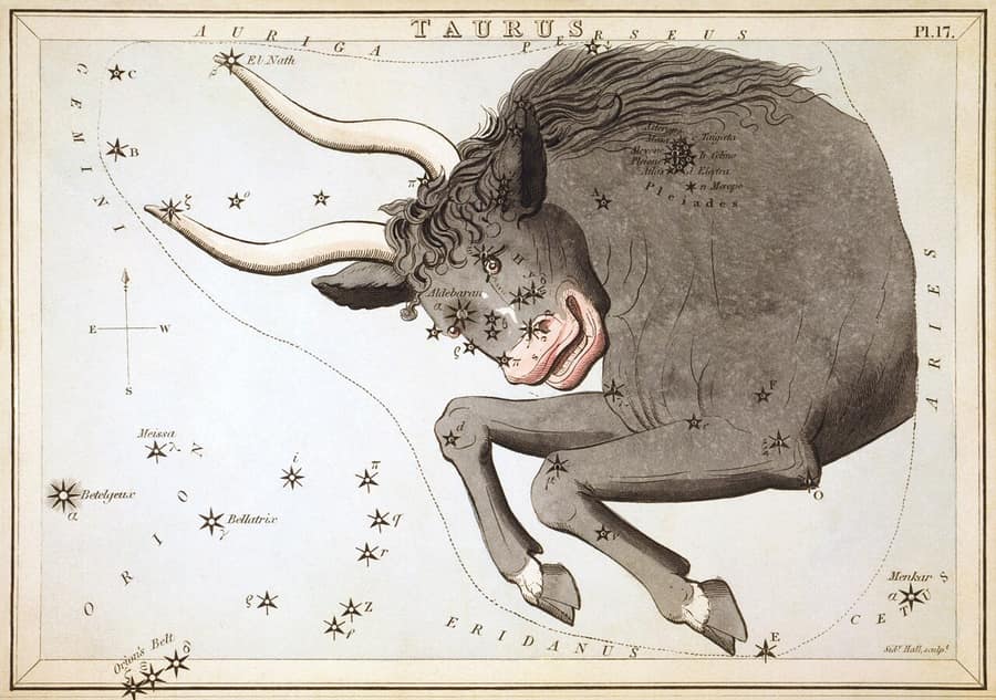 Gravura antiga da constelação de Touro