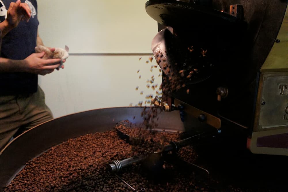 Grãos de café torrados caindo do torrador numa bandeja redonda