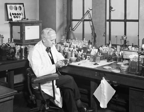 Foto: Alexander Fleming