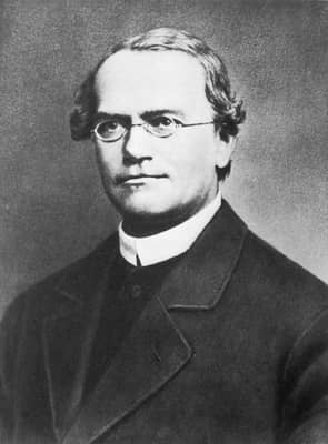 Foto: Gregor Mendel