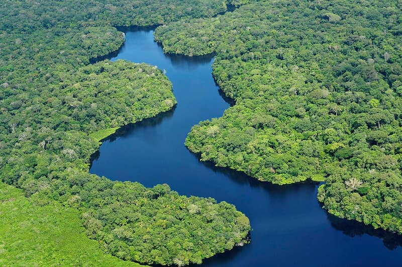 Rio passando no meio da floresta amazônica, vista de cima