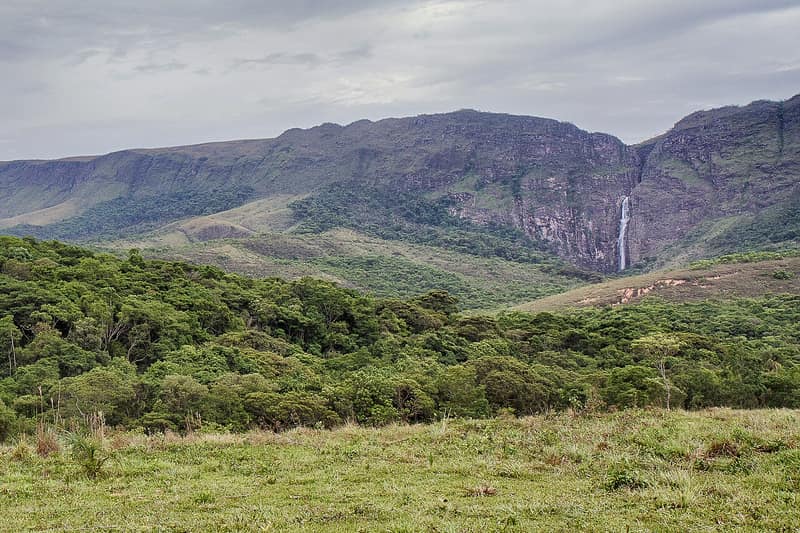 Cachoeira alta descendo um paredão de pedra na Serra da Canastra, com mata e campo na frente