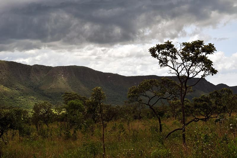Paisagem do cerrado com árvores de tronco torto e morros ao fundo
