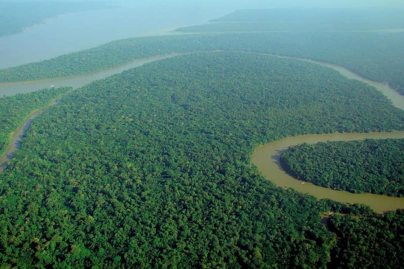 Rio largo e marrom fazendo curvas no meio da floresta amazônica, visto do avião