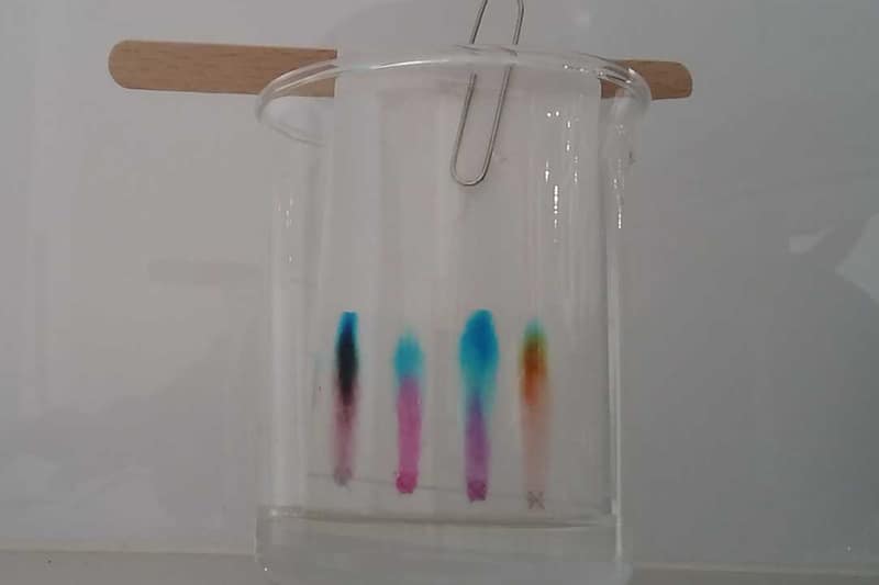 As tintas das canetinhas sobem com a água e se separam em cores.