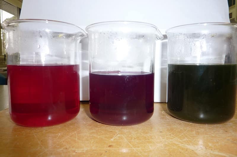 Caldo de repolho roxo com ácido (vermelho), sozinho (roxo) e com base (verde).