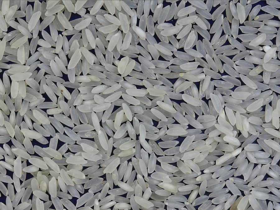 grãos de arroz.