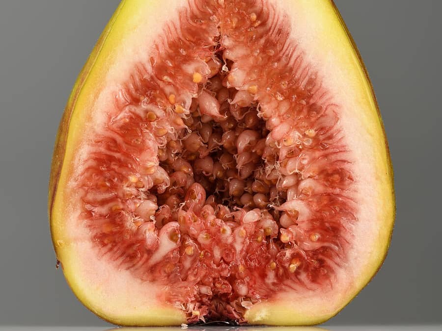 o figo, fruta do doce.