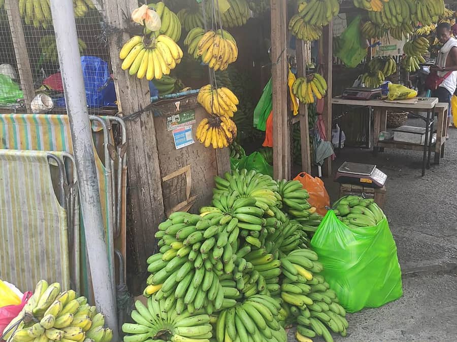 bananas.