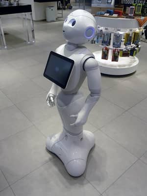Foto: Pepper